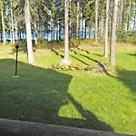 Vakantiehuis Purnuranta B By Interhome Kolinkylä